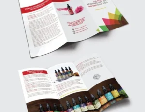 Brochure Sample 13 2026