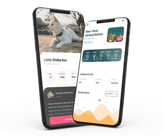 Custom Mobile App Development with New Era in Soft Studios