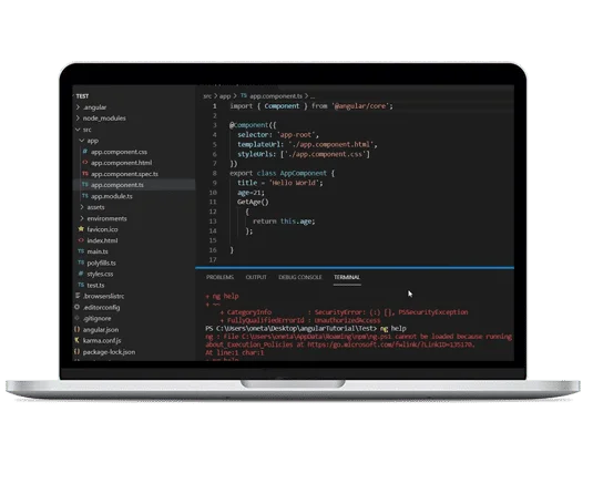 Custom Website by Angular Programming in Soft Studios