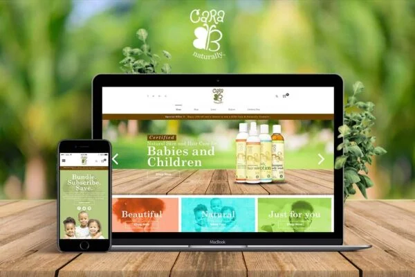 wordpress-development-services-2026 by Soft Studios